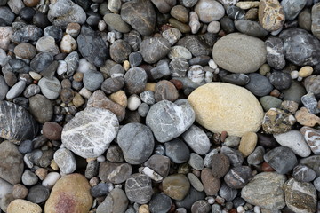 Kiesel an einem Strand