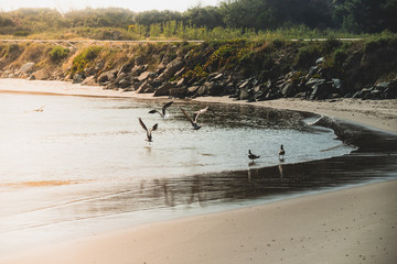 Obraz premium Levantar voo