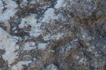 A fragment of salt covered rocks by the sea. Texture.