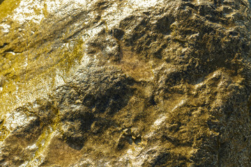 Rocky porous surface close-up. Texture Horizontal frame