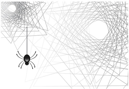 Spider web vector