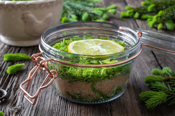 Preparation of syrup from young spruce tips
