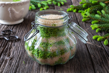 Preparation of syrup from young spruce tips
