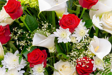 Beautiful floral background, red and white flowers closeup. White Chrysanthemum, Red Rose, Gypsophila and Calla.