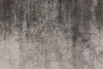 Fototapeta premium old stucco texture