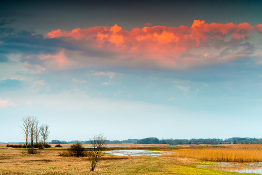 Biebrza Valley (Poland).  Sunset over the medows with trees on the background
