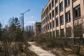 Street of the abandoned ghost town Pripyat. Overgrown trees and collapsing houses in the exclusion...