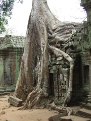 Angkor Wat, Cambodia
