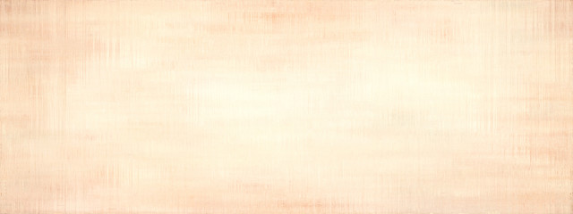 Grunge panoramic scratched texture.