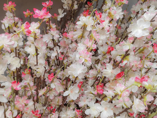 Close up of colorful artificial flowers wall background .Cherry blossom flower bouquet wallpaper backdrop.