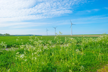 Furrows in a plowed field below a blue sky in sunlight in spring