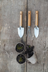 Three pieces gardening kit and three paper pots with soil on wooden background. Top view