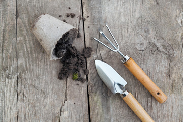 Starter pot and gardening tools on wooden background. Top view