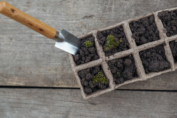 Starter tray and gardening spatula on wooden background. Top view