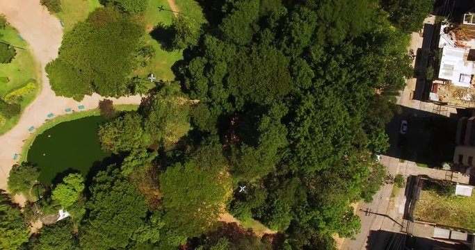 Aerial video of trees facing down from drone in Porto Alegre, Rio Grande do Sul, Brazil.