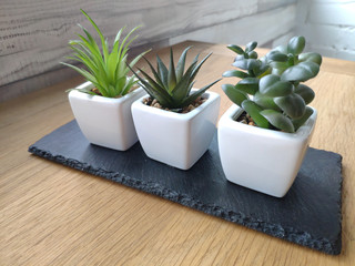 Pots with succulents on light wooden table against white brick wall background