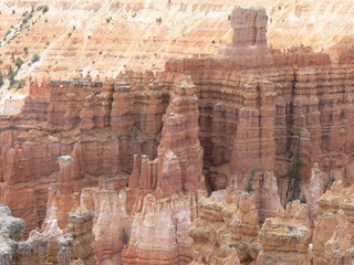 Bryce needles