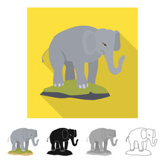 Vector design of elephant and cute symbol. Set of elephant and Africa stock symbol for web.