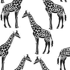 vector illustration of giraffe