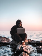 A man in a monkey costume at sunset near the sea works on a computer against the backdrop of a...