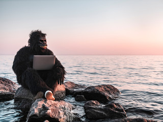 A man in a monkey costume at sunset near the sea works on a computer. Animal programmer does the...