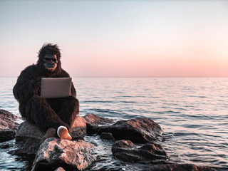 A man in a monkey costume at sunset near the sea works on a computer against the backdrop of a...