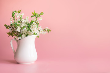 Bouquet of cherry blossom branch in vase on pastel pale pink.