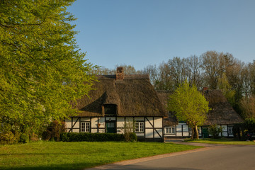 Fototapeta na wymiar schönes Reetdachhaus mit Fachwerk im Frühling