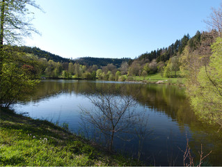Fototapeta na wymiar the bathing lake diebach in fichtenberg at germany baden württemberg
