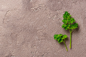 Culinary background with branch a parsley