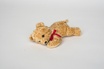  soft toy on a white background. baby teddy bear who lies