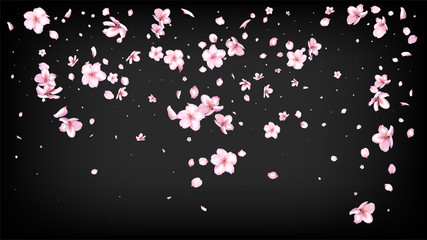 Nice Sakura Blossom Isolated Vector. Summer Falling 3d Petals Wedding Design. Japanese Oriental Flowers Wallpaper. Valentine, Mother's Day Watercolor Nice Sakura Blossom Isolated on Black