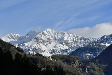 Primolo with the Valmalenco mountain range on the back