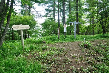 今倉山東峰山頂