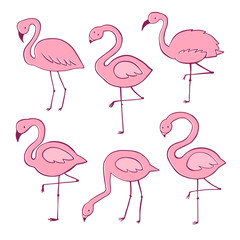 Pink flamingo vector cartoon flat set. Exotic tropical bird icons collection