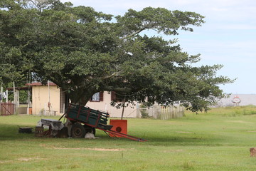 combine harvester in the field