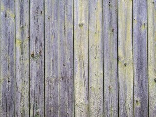 Fototapeta premium Old wooden wall painted with paint.