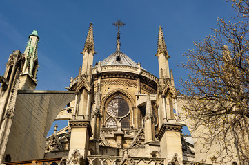 Notre-Dame de Paris