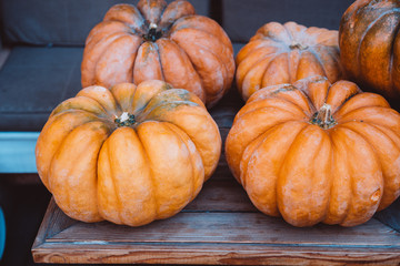 Many large orange pumpkins lie in the street . Autumn street decoration.