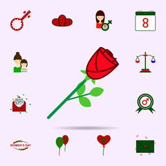 Rose, flower color icon. Universal set of 8 march for website design and development, app development