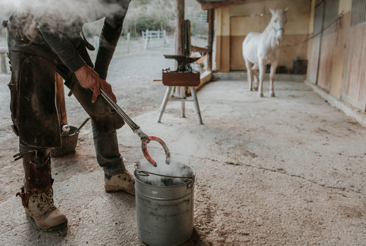 Adult farrier using hammer and tongs to forge hot horseshoe on portable anvil near stable on ranch