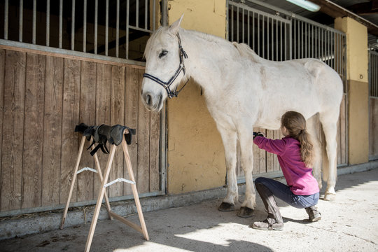 Anonymous little girl taking care of horse near stable after lesson on sunny day on ranch
