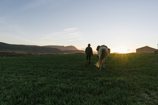 Old man in hat looking away and sitting on beautiful horse against cloudless blue sky in meadow