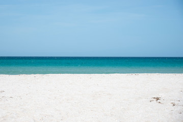 Summer landscape on the Black Sea, Crimea