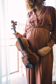 Elegant attractive cheerful musician holding violin near window in room