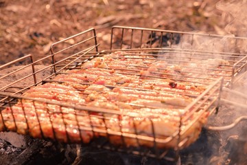 Summer nature grill bbq meat,  party cooking.