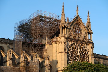 Cathédrale Notre-Dame de Paris après l'incendie du 15 avril 2019, vue sur le pignon sud noirci, la rosace et l'échafaudage (France) - obrazy, fototapety, plakaty