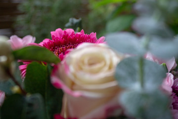 bouquet of pink flower