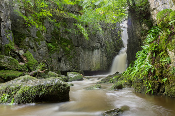 Spectacular hidden waterfall in deep forest - Catrigg Force, Yorkshire Dales