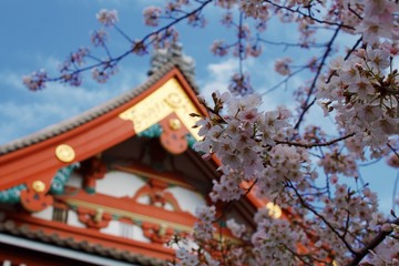 temple in japan